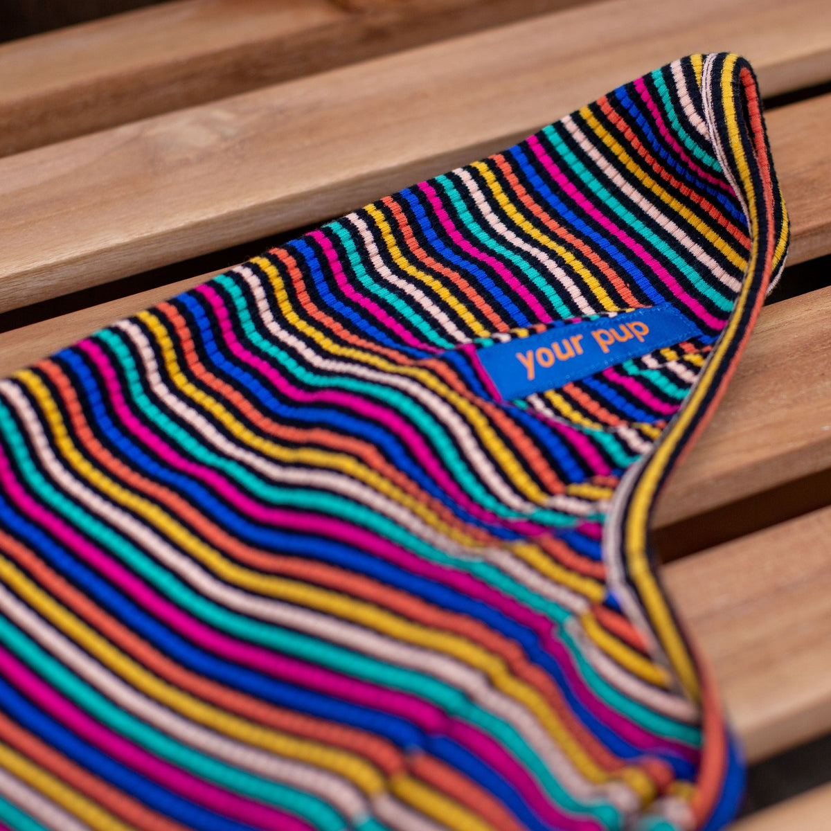 Candy Stripe Long Dog Tee